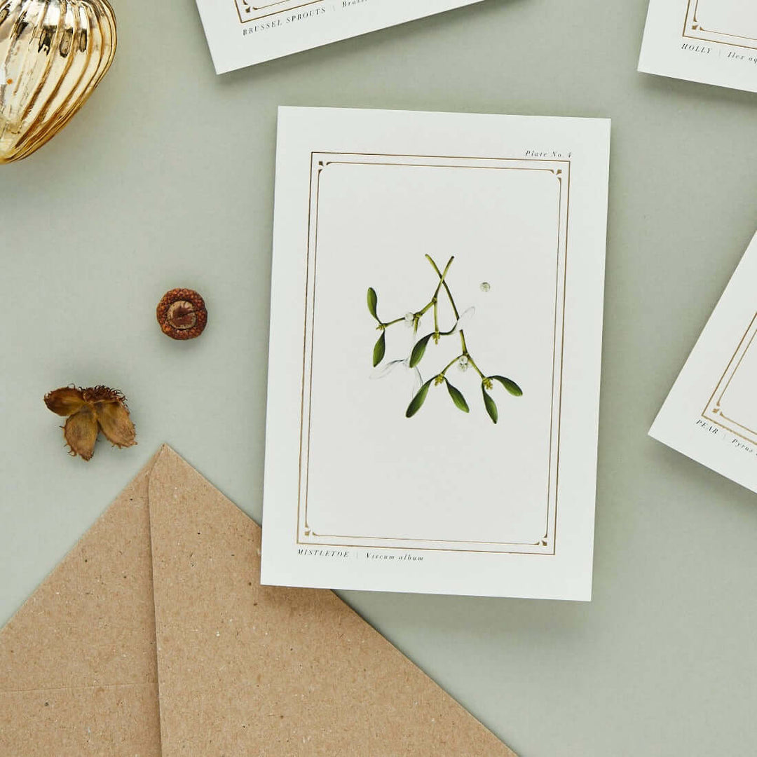 Botanist Christmas Mistletoe Greeting Card
