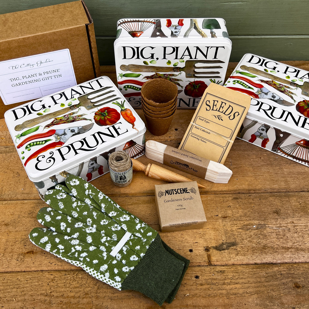 Dig Plant Prune Gardening Gift Set
