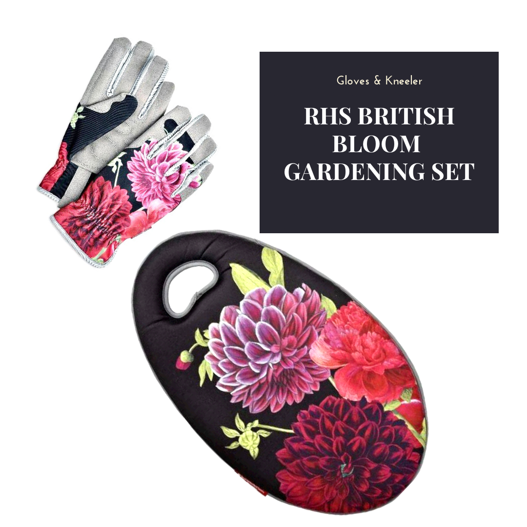 RHS British Bloom Gardening Set