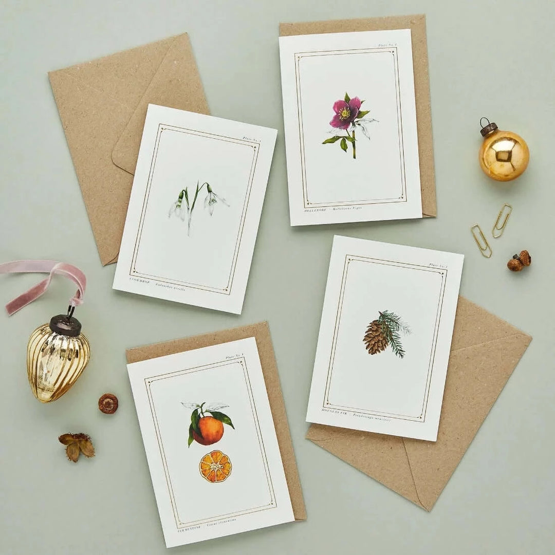Botanist Pear Greeting Card